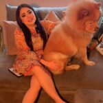 Mariana Botas Instagram - Ustedes me ven muy tranquila y todo, pero no saben lo que hay detrás de una filmación y máaaas si a Bantu 🐶 le toca ser la estrella 🌟. Por suerte tengo #MiShark que me salva de sus pelitos de amor y otras cositas ¿verdad güerito precioso? @sharkhomemx #publicidad