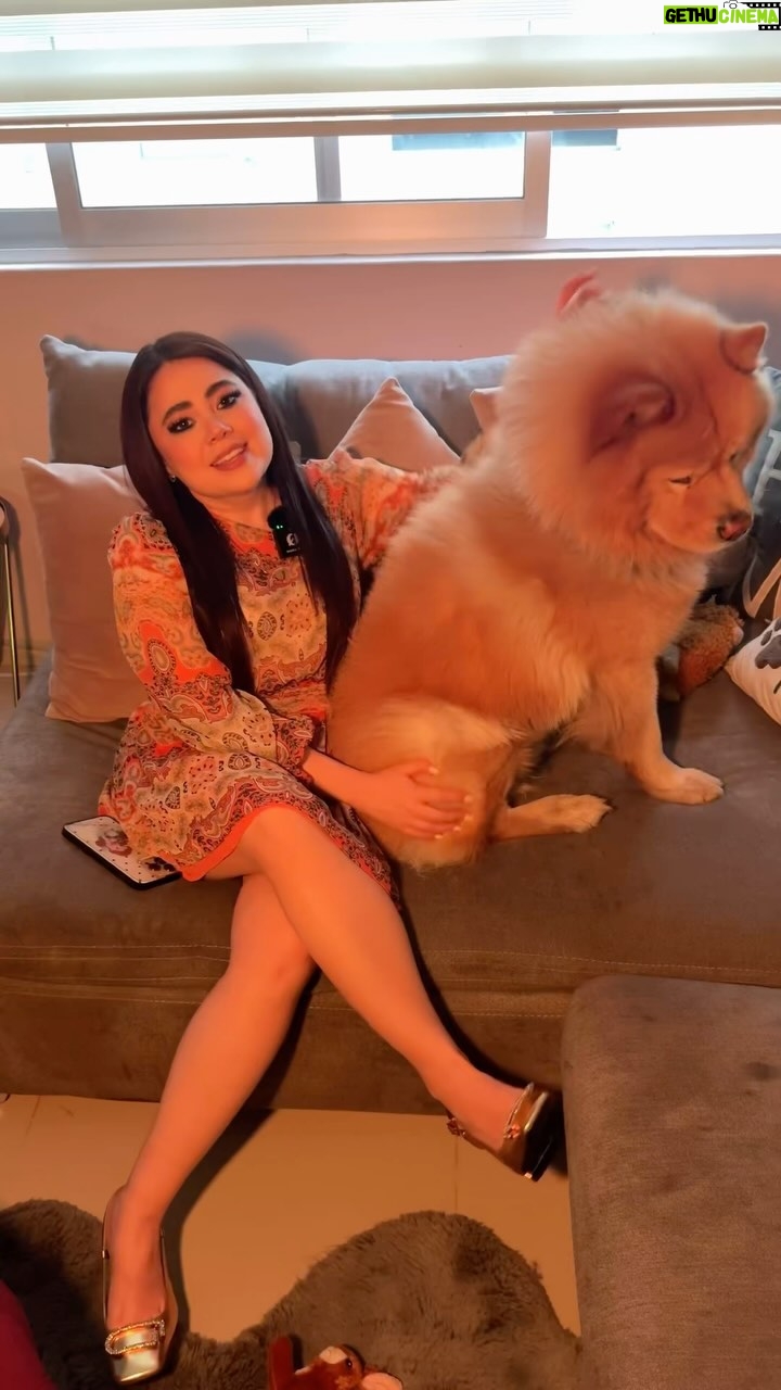 Mariana Botas Instagram - Ustedes me ven muy tranquila y todo, pero no saben lo que hay detrás de una filmación y máaaas si a Bantu 🐶 le toca ser la estrella 🌟. Por suerte tengo #MiShark que me salva de sus pelitos de amor y otras cositas ¿verdad güerito precioso? @sharkhomemx #publicidad