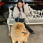 Mariana Botas Instagram - Weekend vibes 🥂🍨🐾❤️‍🩹🐶