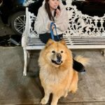 Mariana Botas Instagram - Weekend vibes 🥂🍨🐾❤️‍🩹🐶