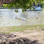 Mariana Ávila Instagram - Mi hermosa @soyauroraavila me tomó estas fotos con 4 añitos y ahí está la prueba. 😍 Bosques De Palermo