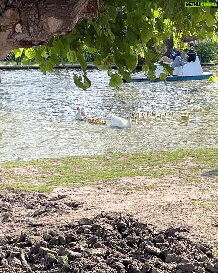 Mariana Ávila Instagram - Mi hermosa @soyauroraavila me tomó estas fotos con 4 añitos y ahí está la prueba. 😍 Bosques De Palermo