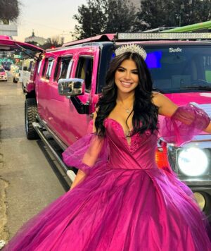 Mariana Ávila Instagram - No había podido celebrar mis 15 (millones en YouTube) como Dios manda, y hoy cumplí dos sueños, tener mi fiesta de 15 años que jamás tuve y celebrar este éxito tan grande! Miles y miles de gracias a todos los que se suscriben, a los que apoyan, comparten y están presente en cada etapa de mi vida. Los amo y siempre los llevo en mi corazón 💕🎀👸🏻