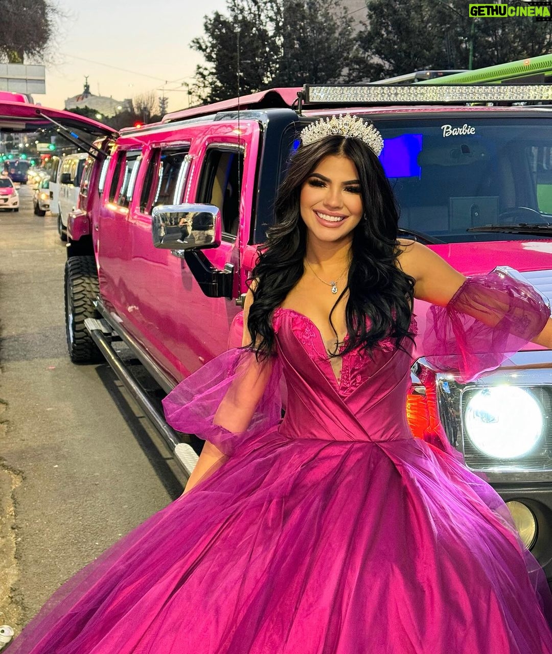Mariana Ávila - 152.3K Likes - No había podido celebrar mis 15 (millones en YouTube) como Dios manda, y hoy cumplí dos sueños, tener mi fiesta de 15 años que jamás tuve y celebrar este éxito tan grande! Miles y miles de gracias a todos los que se suscriben, a los que apoyan, comparten y están presente en cada etapa de mi vida. Los amo y siempre los llevo en mi corazón 💕🎀👸🏻