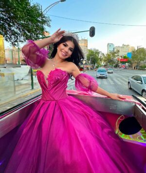 Mariana Ávila Instagram - No había podido celebrar mis 15 (millones en YouTube) como Dios manda, y hoy cumplí dos sueños, tener mi fiesta de 15 años que jamás tuve y celebrar este éxito tan grande! Miles y miles de gracias a todos los que se suscriben, a los que apoyan, comparten y están presente en cada etapa de mi vida. Los amo y siempre los llevo en mi corazón 💕🎀👸🏻