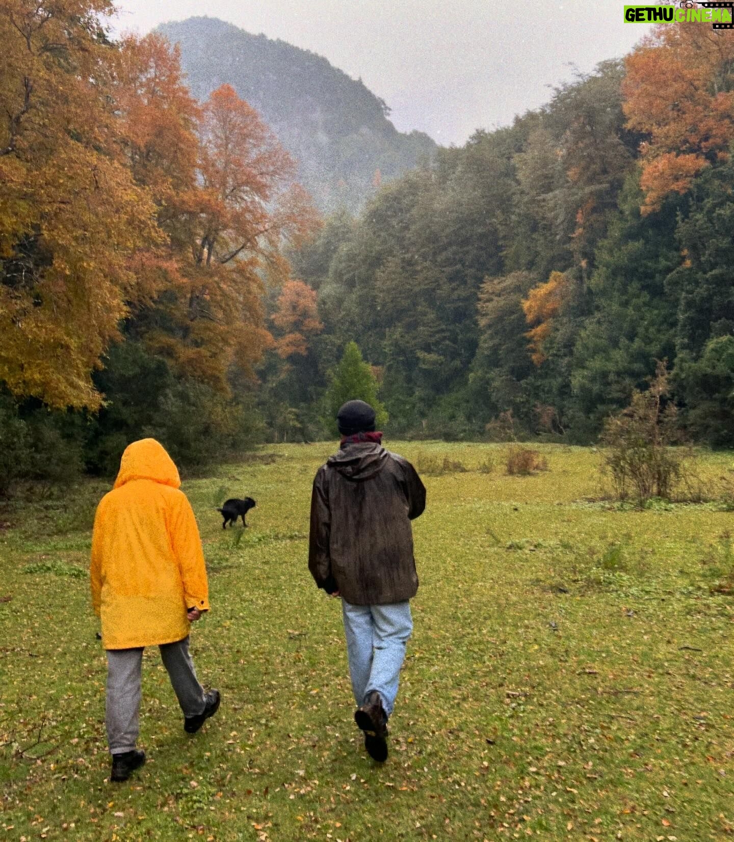 Mariana Di Girolamo Instagram - Baño de bosque y puré de castañas.