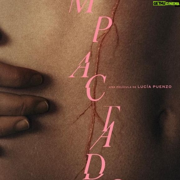 Mariana Di Girolamo Instagram - Tráiler oficial “L o s I m p a c t a d o s” Una película de @lucia.puenzo