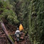 Mariana Di Girolamo Instagram – Baño de bosque y puré de castañas.
