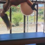 Mariana Monteiro Instagram - Pilates de máquinas tem sido uma descoberta maravilhosa para a minha consciência corporal, para desacelerar e perceber com paciência, a exigência de cada movimento. Excelente também para aumentar foco e coordenação. Alonga corpo e mente❤️‍🔥. Uma nova modalidade que não quero mais que saia da minha rotina. Fica a dica😉 #mindandbody #keepmoving