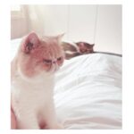 Marianela Núñez Instagram – #whatsundaysarefor 😻❤️
My babies….😍