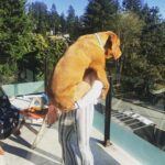 Marie Avgeropoulos Instagram – His devastating reaction when I told him he just gained a few more LBS …. @mybestfriendchewy #dogsofinstagram #woof