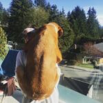 Marie Avgeropoulos Instagram – His devastating reaction when I told him he just gained a few more LBS …. @mybestfriendchewy #dogsofinstagram #woof
