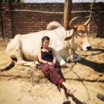 Marie Avgeropoulos Instagram – Cows in the Hindu culture are considered sacred, and are well taken care of here because they provide milk. Bulls till the farming land and for #FFLV they pull the bull carts to school to ensure the girls get there and back free from harassment. This provides a sustainable and eco friendly method of transportation and a milk is important part of the everyday diet for the girls. The irony is despite being so sacred to these people is they are often abandoned . This particular cow shelter I visited partners with the school and takes in abandoned street cows and takes great care of them .  @fflvindia @withoutxfilms #shemustcount #ecofriendly #india