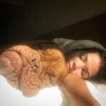 Marie Avgeropoulos Instagram - Have you ever woke up next to ET ? It happens in my world, often. @mybestfriendchewy #ET #mastiffproblems