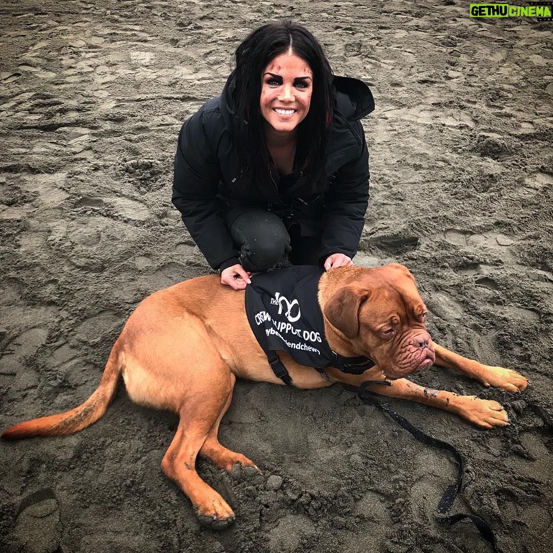 Marie Avgeropoulos Instagram - ...good friends buy your dog tail wagin’ swag . 🖤 Thanks @wdwhite65 for the best Xmas gift ever! @mybestfriendchewy #the100 #crewsupportanimal #setlife #the100season5