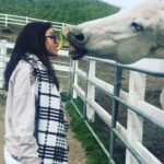 Marie Avgeropoulos Instagram - Who needs a frog or a prince when you have a horsey who will give you a lettuce lip lock 💋🐎 #horse #countrygirl #muah #nicelips