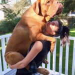 Marie Avgeropoulos Instagram – That one time I got a bear hug from the man that stole my ❤️! Miss you Chewy! #dogsofinstagram #dogstagram