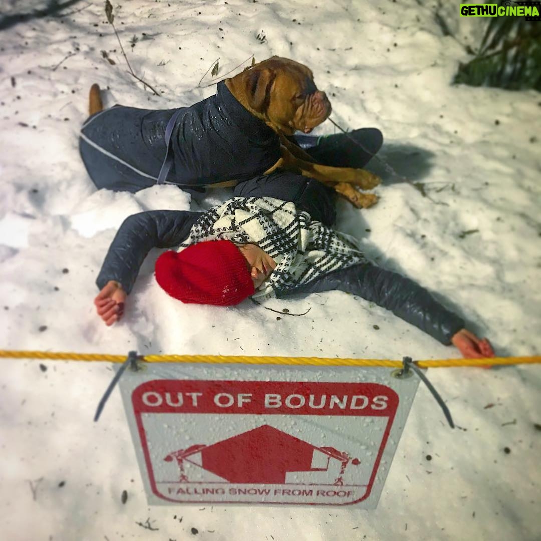 Marie Avgeropoulos Instagram - When your winter walk home is uphill both ways and you just need a minute ..... 😴 @mybestfriendchewy #canadianproblems