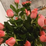 Mariluz Bermúdez Instagram - Gracias noviembre por tanto! 💐✨🫶🏻🤗