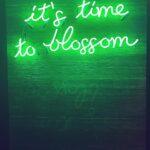 Mariluz Bermúdez Instagram - It’s time to blossom!! ✨🌷✨