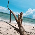 Mariluz Bermúdez Instagram - Te amo Costa Rica!! @mychildhooddream_house