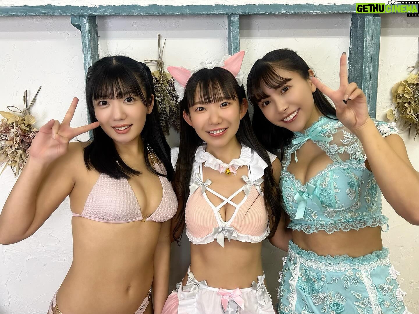 Marina Nagasawa Instagram - 本日はTRUSTARバレンタイン撮影会に (左から)石井ひなこ→長澤茉里奈→鈴木聖の3名が参加しました💌 バレンタインということで、 私たちからはささやかなお気持ちのチョコレートをお渡しさせていただきましたが、なんと逆チョコをくださった方も...🍫🤭 いつもみなさまのたくさんの応援と愛に心より感謝です💗 これからもよろしくお願いします! @marinanagasawa1008 @hinakoishii0925 @_takara_suzuki_