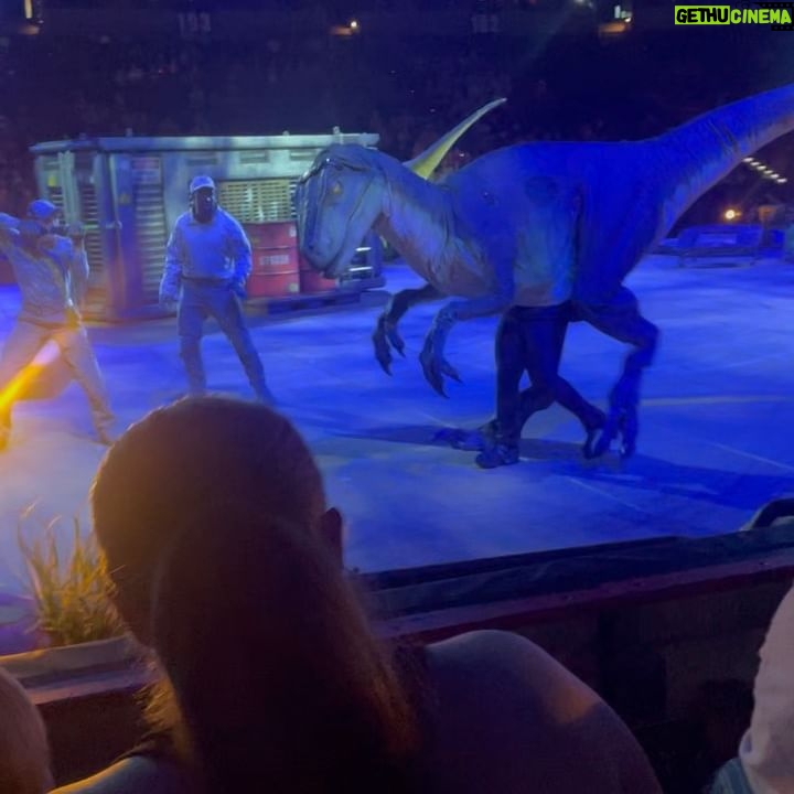 Marina Squerciati Instagram - I LOVED THIS SHOW! The @jurassicworldlivetour's Velociraptors came pretty close to taking us out, but we lived to tell the tale. π
#jurassicworld #kidfun #butalsoadultfundontkidyourself #ihadablast #ilaughedicrieditwasbetterthancats #dinosaurs #dinosaursofinstagram #goseelivetheatre #jurassicpark #dinosaurart #funthingstodowithkids #kidsstuff #spokanewashington #livetour #SOFUN #FIVESTARS