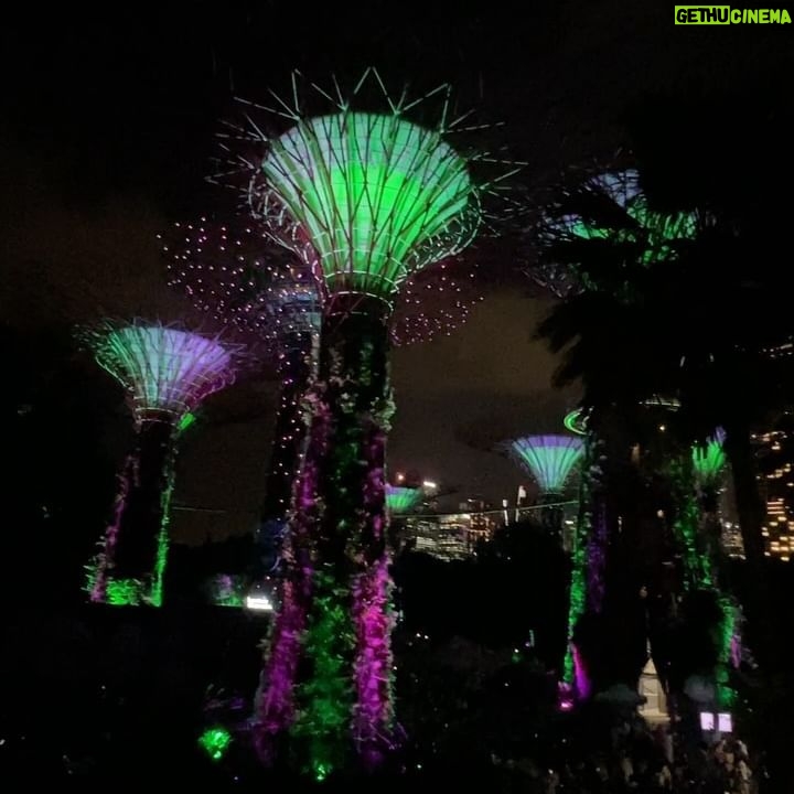 Marina Yers Instagram - SINGAPUR 🇸🇬 Fotos guapísima retocada con Face App VS la realidad 😏 Sea como sea, amo mi trabajo porque puedo hacerlo desde cualquier lugar del mundo. VIVA EL MARKETING DIGITAL. #singapur #vamosparasingapur #marketingdigital