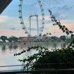 Marina Yers Instagram - SINGAPUR 🇸🇬 Fotos guapísima retocada con Face App VS la realidad 😏 Sea como sea, amo mi trabajo porque puedo hacerlo desde cualquier lugar del mundo. VIVA EL MARKETING DIGITAL. #singapur #vamosparasingapur #marketingdigital