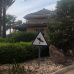 Marine El Himer Instagram – Paradis à la plage 🌅 @paradisplage