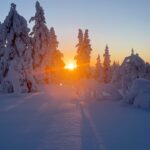 Marine Lorphelin Instagram - Le plus beau sunrise de ma vie en Laponie 🥹🩵 📍Lapland