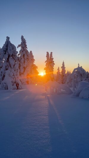 Marine Lorphelin Instagram - Le plus beau sunrise de ma vie en Laponie 🥹🩵

📍Lapland