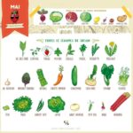 Marion Cotillard Instagram – #Repost @clairesophiepissenlit
・・・
Avec un peu de retard, le calendrier de #mai des fruits et légumes de saison.