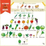 Marion Cotillard Instagram – #repost @clairesophiepissenlit
・・・
Champignons et courges à gogo pour ce mois d’octobre 🎃🍄 On ne le rappellera jamais assez : manger de saison c’est meilleur pour la planète, pour votre santé 🌍 
#csp #clairesophiepissenlit #calendrierdesaison #fruitsetlegumes #local #octobre