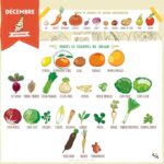 Marion Cotillard Instagram - #Repost @clairesophiepissenlit ・・・ Voici un calendrier des fruits et légumes de saison pour vous aider à faire vos courses pour le mois de décembre. ❄ Privilégiez les circuits courts pour réduire l’impact carbone et soutenir les agriculteurs de votre région 😉