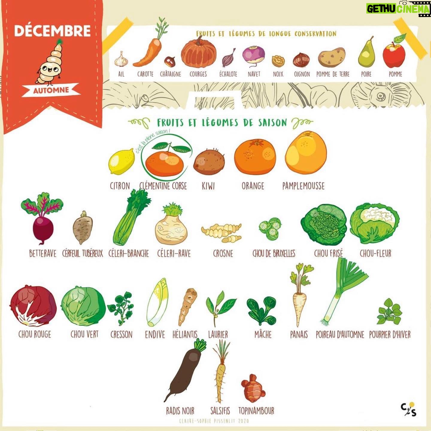 Marion Cotillard Instagram - #Repost @clairesophiepissenlit ・・・ Voici un calendrier des fruits et légumes de saison pour vous aider à faire vos courses pour le mois de décembre. ❄ Privilégiez les circuits courts pour réduire l’impact carbone et soutenir les agriculteurs de votre région 😉