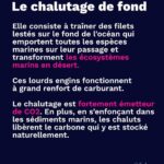 Marion Cotillard Instagram - @emmanuelmacron @stephane_sejourne @pascal.canfin vous devrez un jour prochain rendre des comptes #honte
