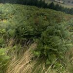 Marion Cotillard Instagram – Viva England! #hiking