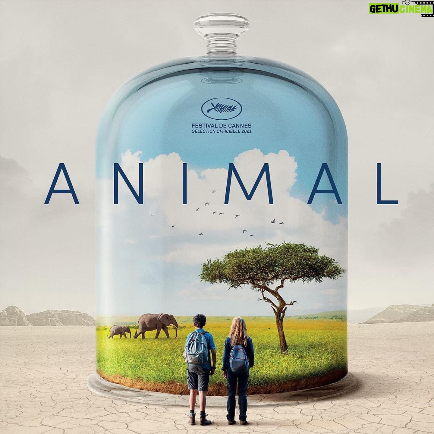 Marion Cotillard Instagram - Demain 1er décembre! Sortie du nouveau film de @cyril_dion « ANIMAL » @animal.lefilm