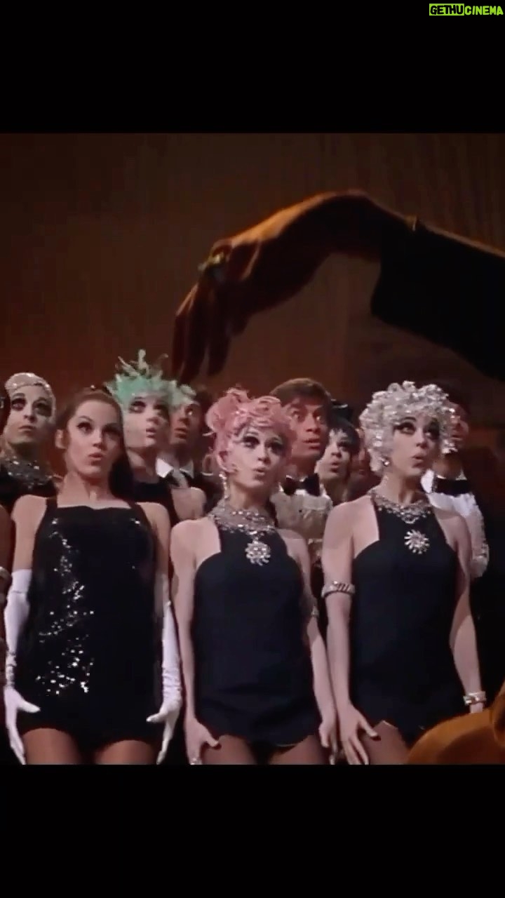 Marisa Tomei Instagram - Sweet Charity (1969) #BobFosse