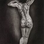 Marisa Tomei Instagram - Happy #Halloween and #Samhain the morbid anatomy museum @morbidanatomy