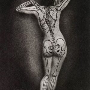 Marisa Tomei Instagram - Happy #Halloween and #Samhain 

the morbid anatomy museum

@morbidanatomy