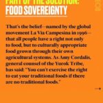 Marisa Tomei Instagram - Swipe through to contribute to the groups doing the work in support of food sovereignty. Via @atmos @themeteor