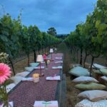 Marisa Tomei Instagram - Dinner in the vineyard . (With Terry Gilliam rushing for the mozzarella !) Thank you for a divine night @masseriamontenapoleone ✨✨✨ Bio diversity and elegance . Thank you Giuliano and Alessandra 💕💕💕💕💕