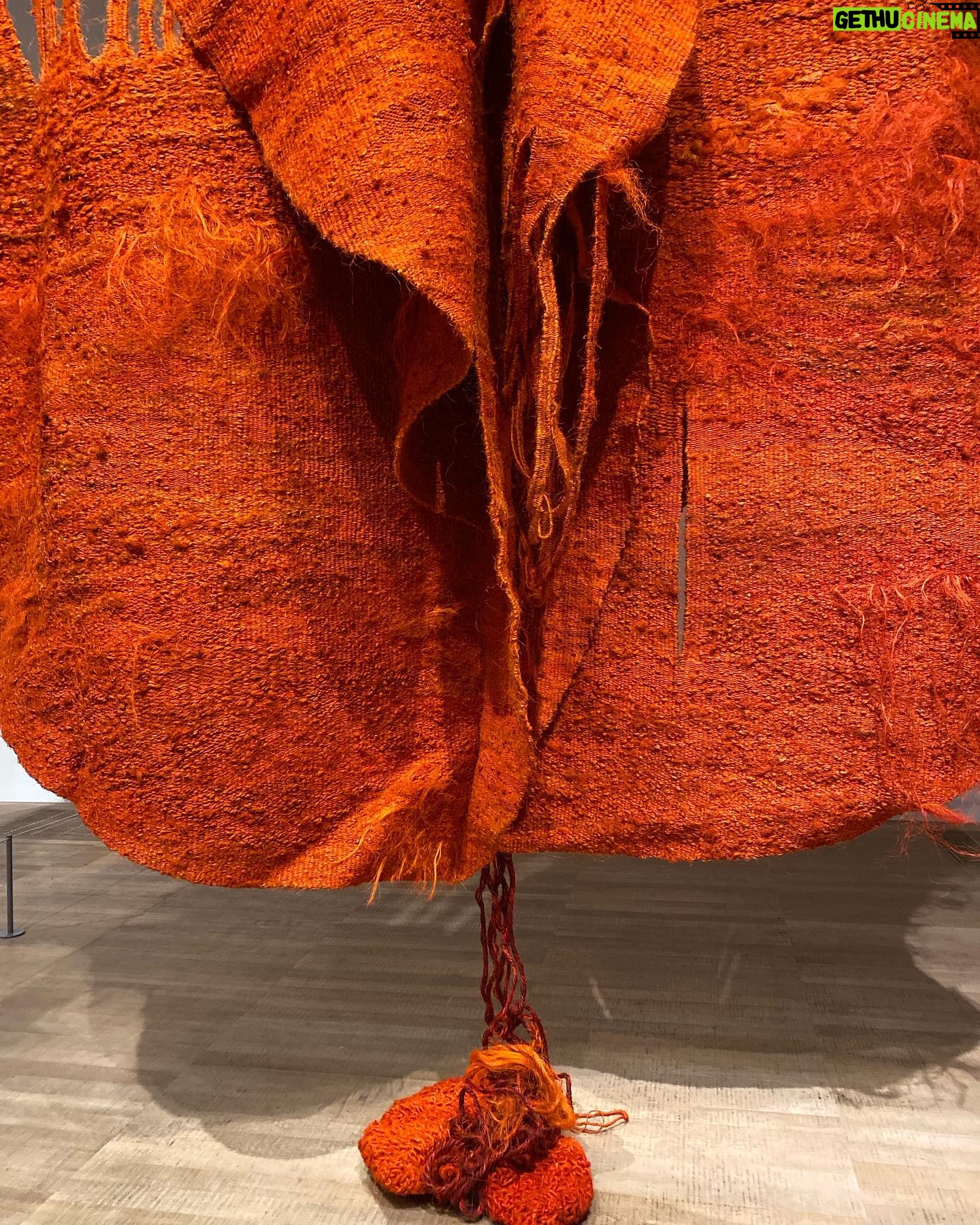 Marisa Tomei Instagram - Don’t miss the Magdalena Abakanowicz show at @tate modern. A forest and desert of fiber sculptures.