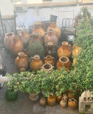 Marisa Tomei Instagram - Scenes from southern Italy 🇮🇹