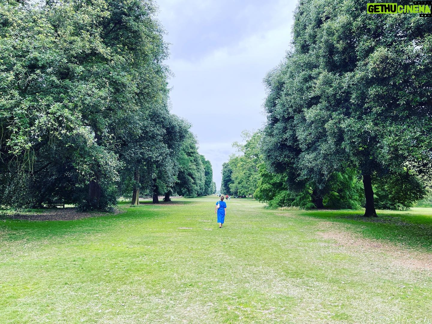 Mariska Hargitay Instagram - #kewgardens #botanicalgardens #magicgatden #secretgarden #gardenlover #gardengoals #nature #nurture #gardening #green #magiclily #magiclilies #goodforthesoul #renew #rejuvenate # connect #peace #quiet #beauty