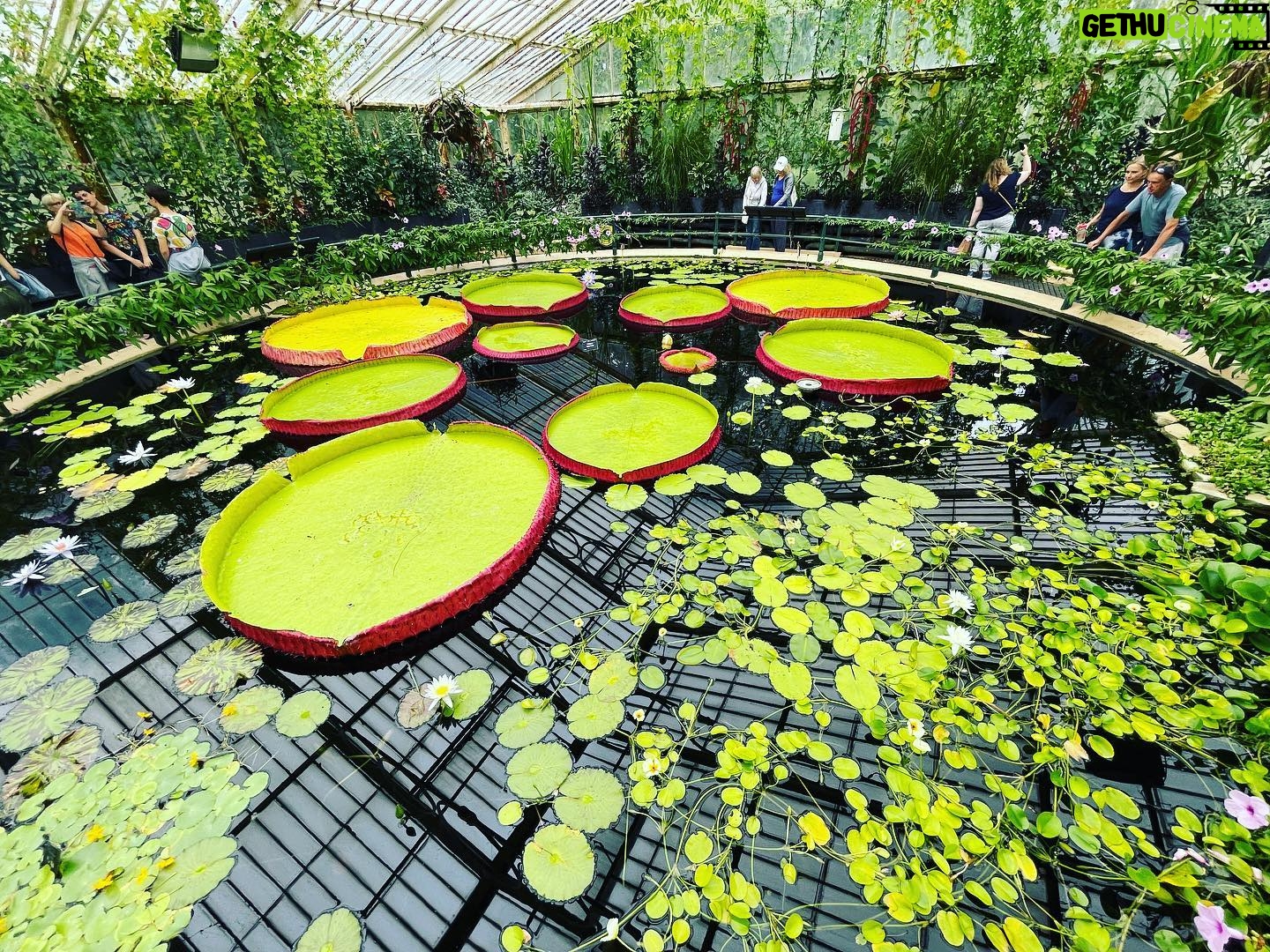 Mariska Hargitay Instagram - #kewgardens #botanicalgardens #magicgatden #secretgarden #gardenlover #gardengoals #nature #nurture #gardening #green #magiclily #magiclilies #goodforthesoul #renew #rejuvenate # connect #peace #quiet #beauty