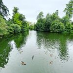 Mariska Hargitay Instagram - #kewgardens #botanicalgardens #magicgatden #secretgarden #gardenlover #gardengoals #nature #nurture #gardening #green #magiclily #magiclilies #goodforthesoul #renew #rejuvenate # connect #peace #quiet #beauty