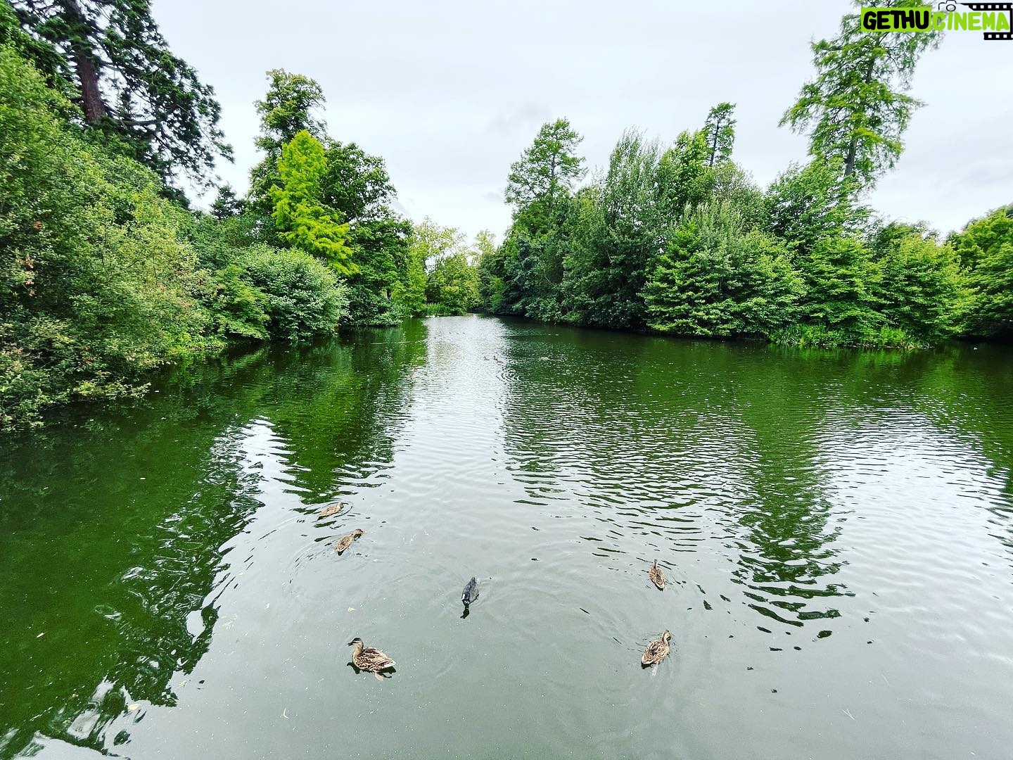 Mariska Hargitay Instagram - #kewgardens #botanicalgardens #magicgatden #secretgarden #gardenlover #gardengoals #nature #nurture #gardening #green #magiclily #magiclilies #goodforthesoul #renew #rejuvenate # connect #peace #quiet #beauty
